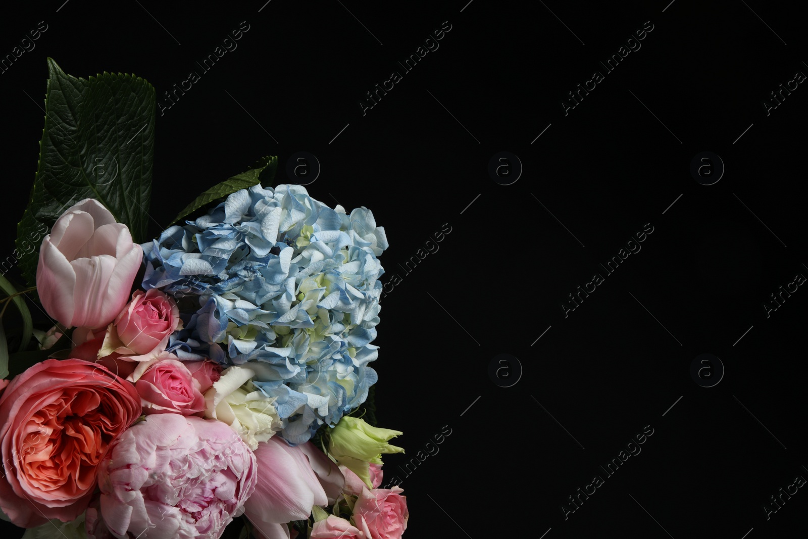 Photo of Beautiful fresh flowers on dark background, space for text