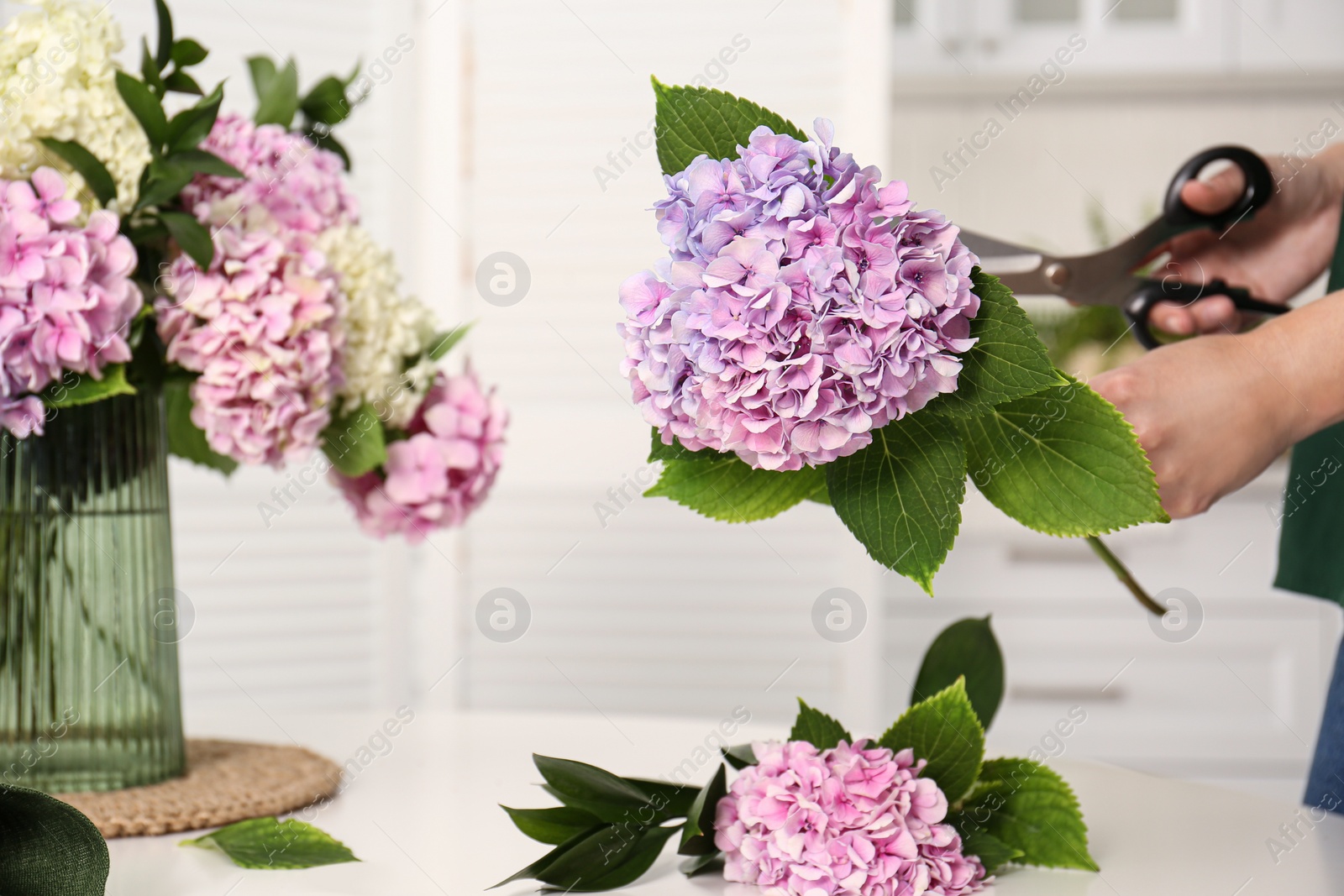 Photo of Woman pruning stem of hydrangea flower indoors, closeup. Interior design element