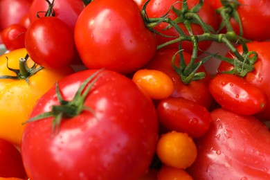 Photo of Tasty fresh tomatoes as background, closeup view