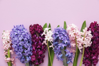 Photo of Beautiful spring hyacinth flowers on color background, top view