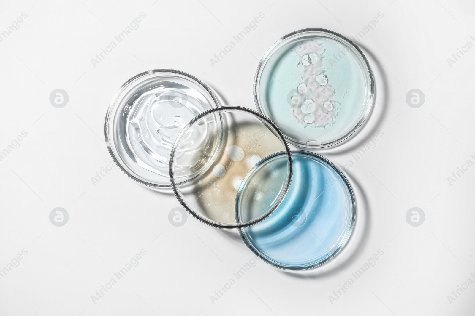 Photo of Petri dishes with color liquids on white background, flat lay