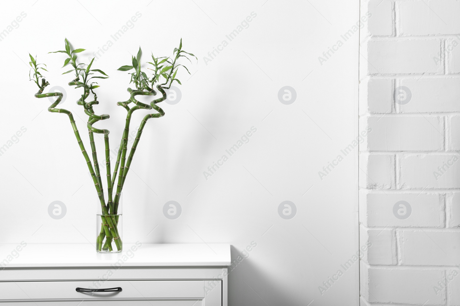 Photo of Vase with bamboo stems on cabinet against white wall, space for text