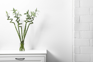 Photo of Vase with bamboo stems on cabinet against white wall, space for text