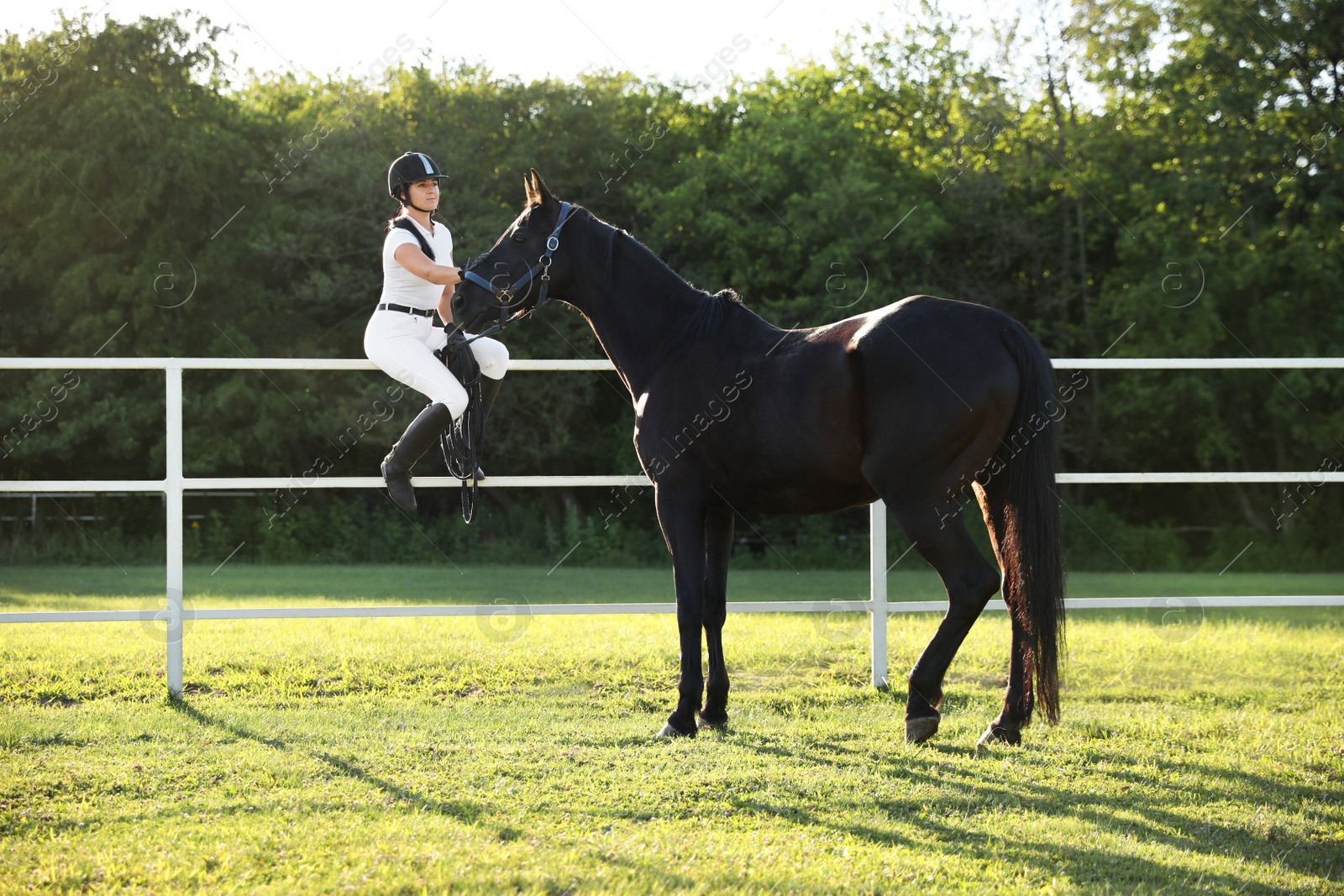 Photo of Young woman in horse riding suit and her beautiful pet outdoors on sunny day