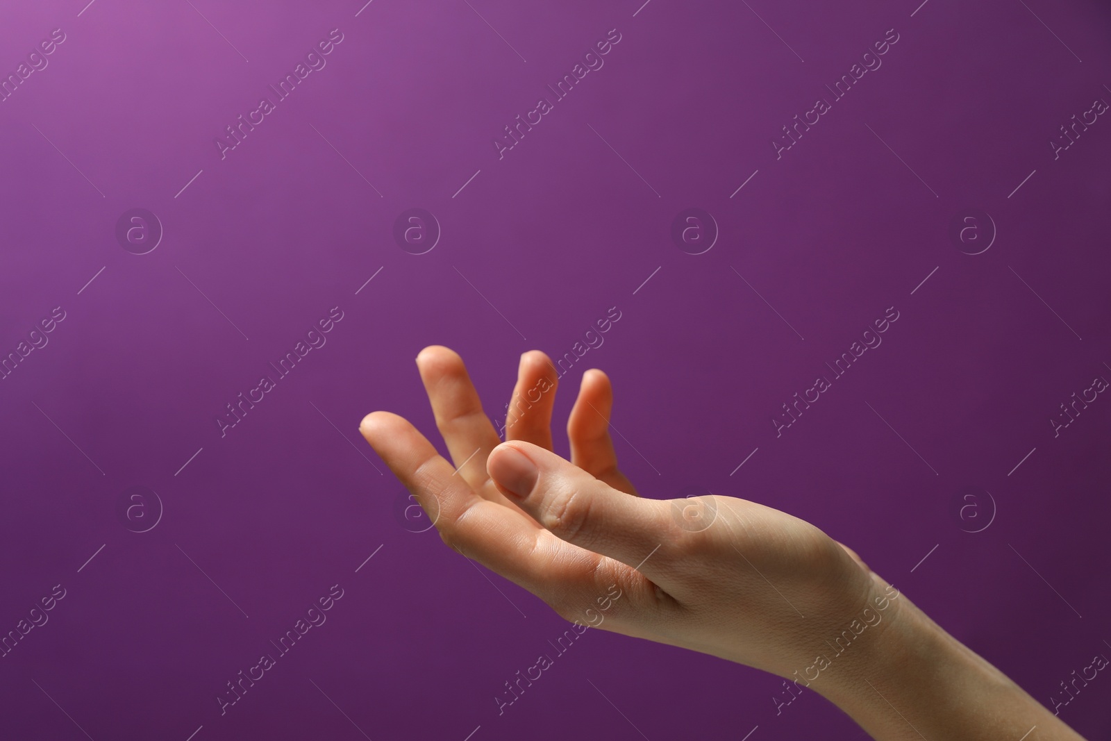 Photo of Woman holding something in hand on purple background, closeup. Space for text