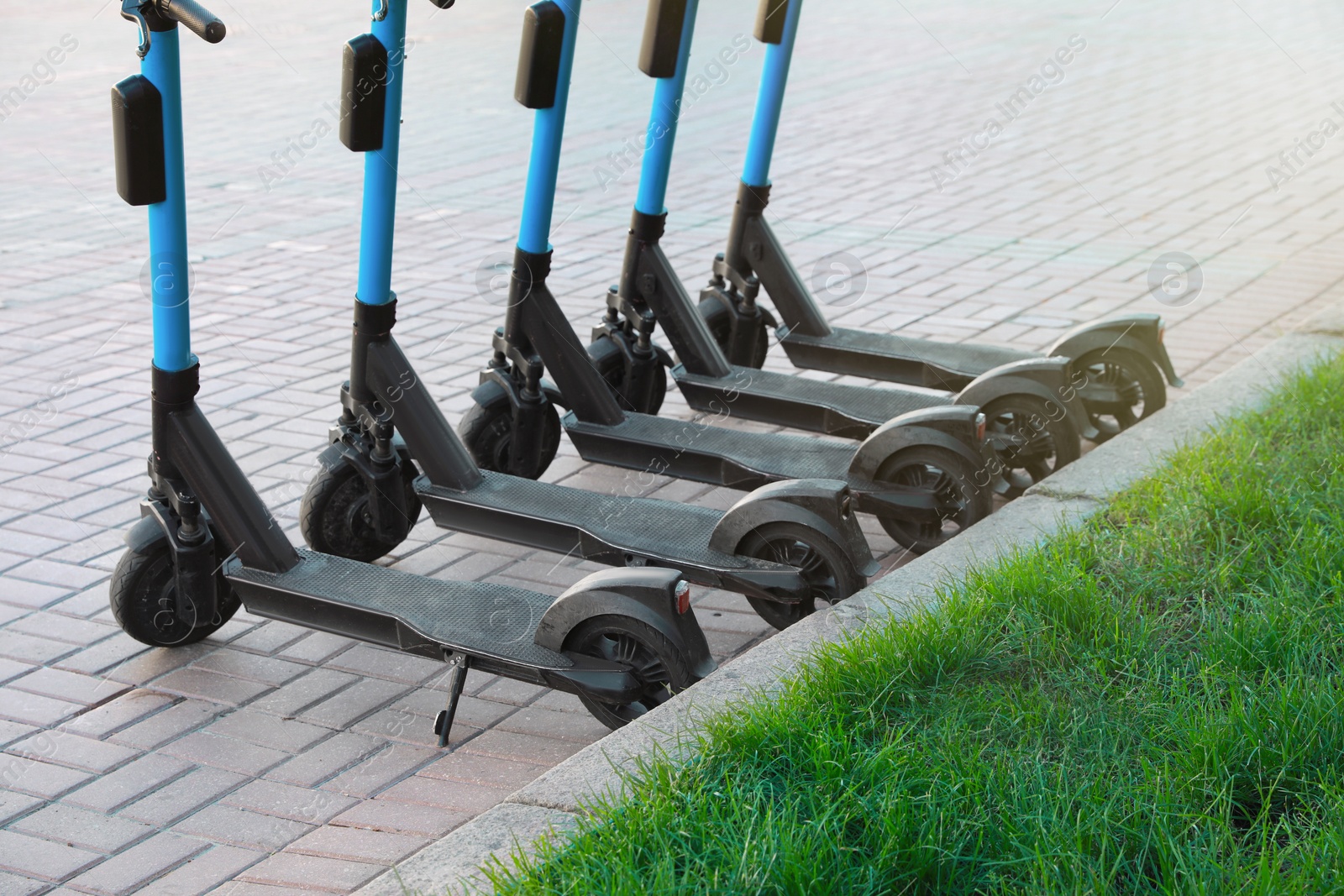 Photo of Many modern electric scooters parked on pavement. Rental service
