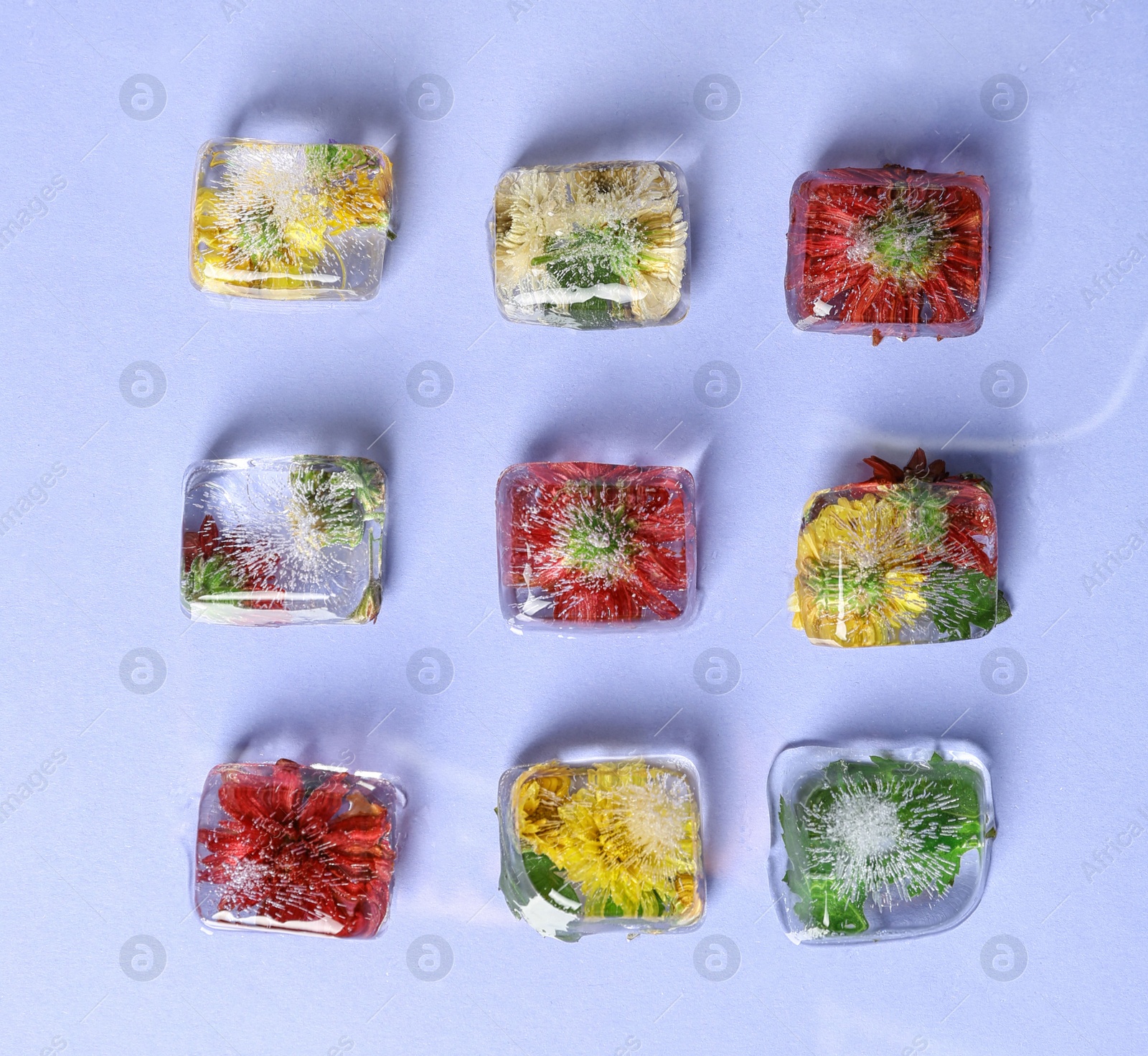 Photo of Ice cubes with flowers on violet background, flat lay