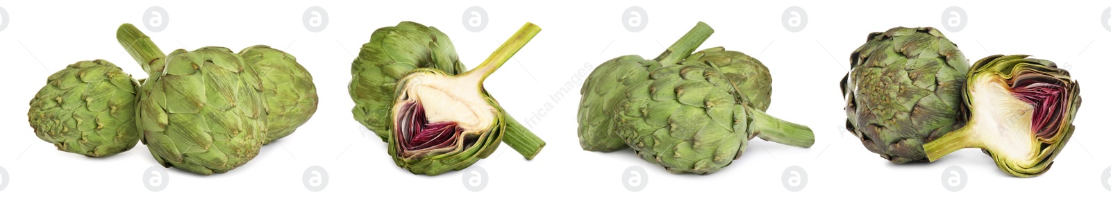 Image of Set with fresh raw artichokes on white background. Banner design 