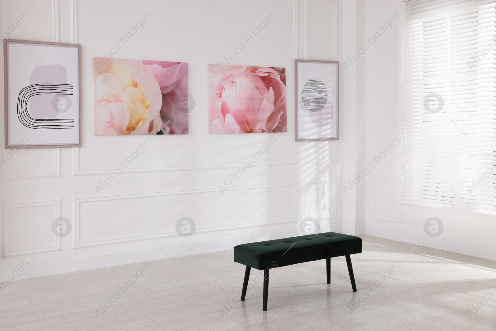 Photo of Bench and beautiful paintings in art gallery