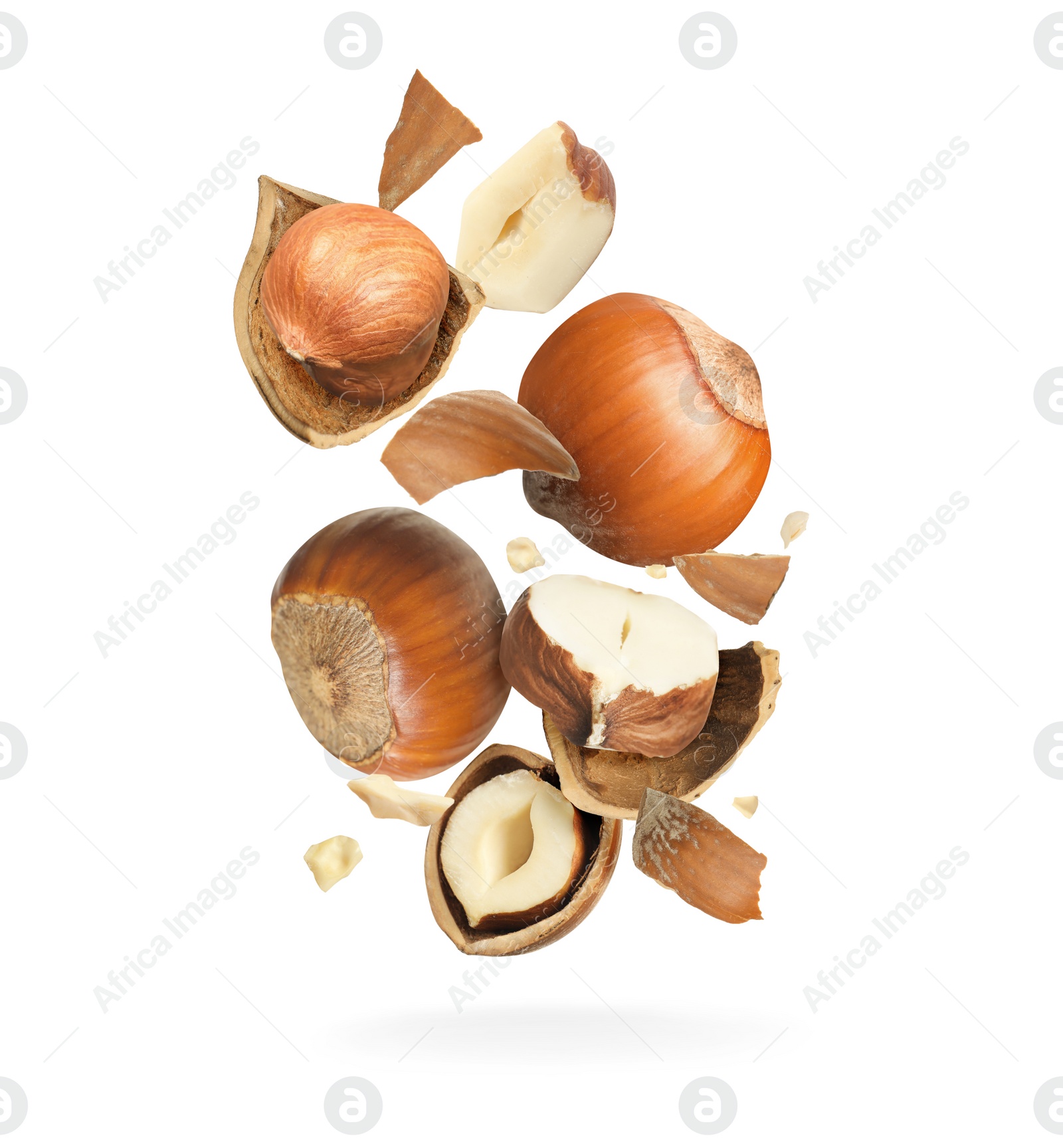 Pieces of tasty hazelnuts falling on white background Image of Pieces of tasty hazelnuts falling on white background