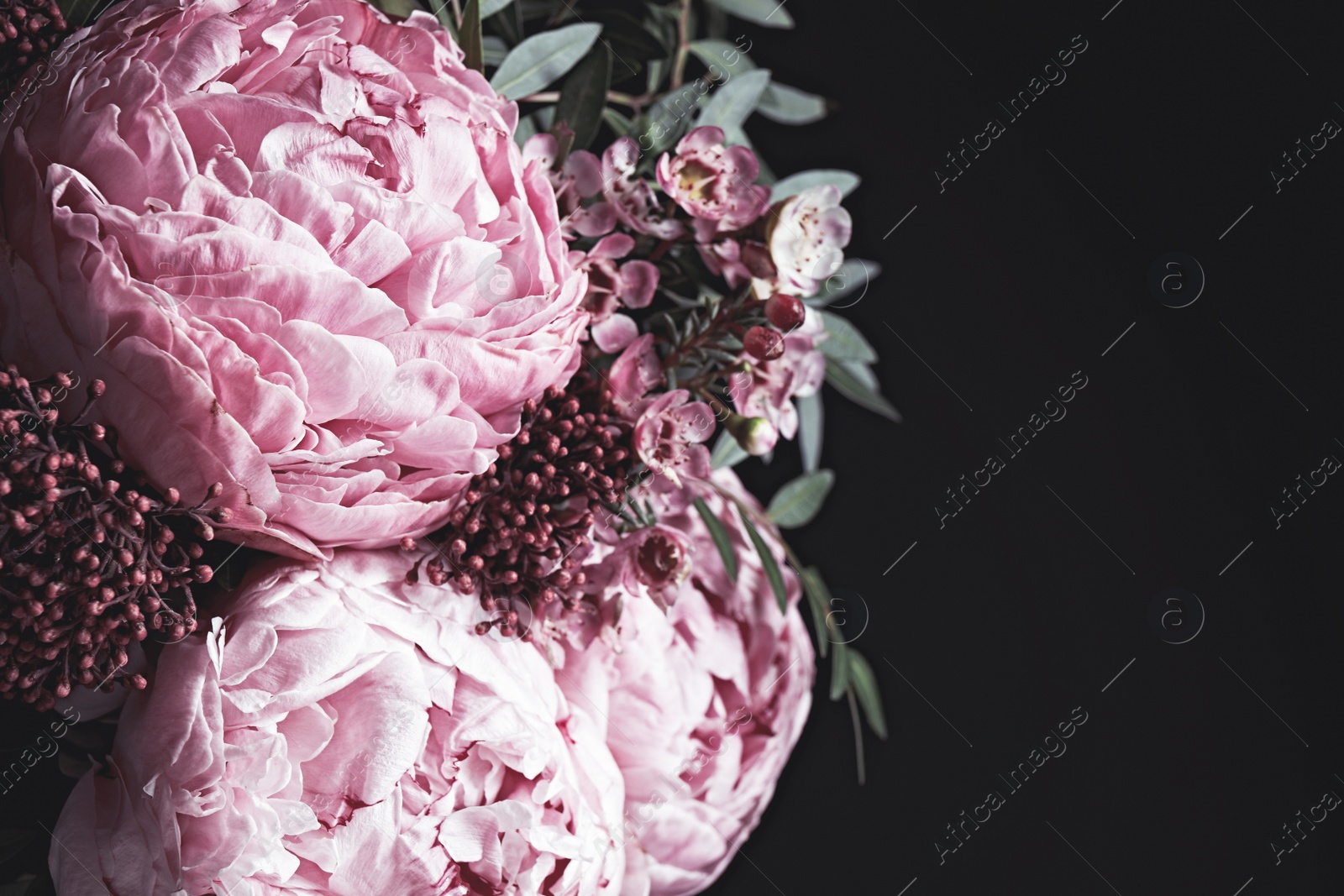 Photo of Bouquet of beautiful flowers on black background, closeup. Floral card design with dark vintage effect