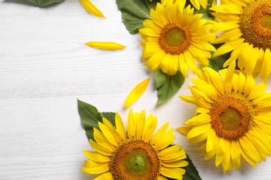 Photo of Beautiful bright sunflowers and petals on white wooden background, flat lay