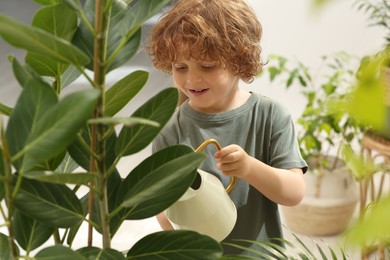 Photo of Cute little boy watering beautiful green plant at home. House decor
