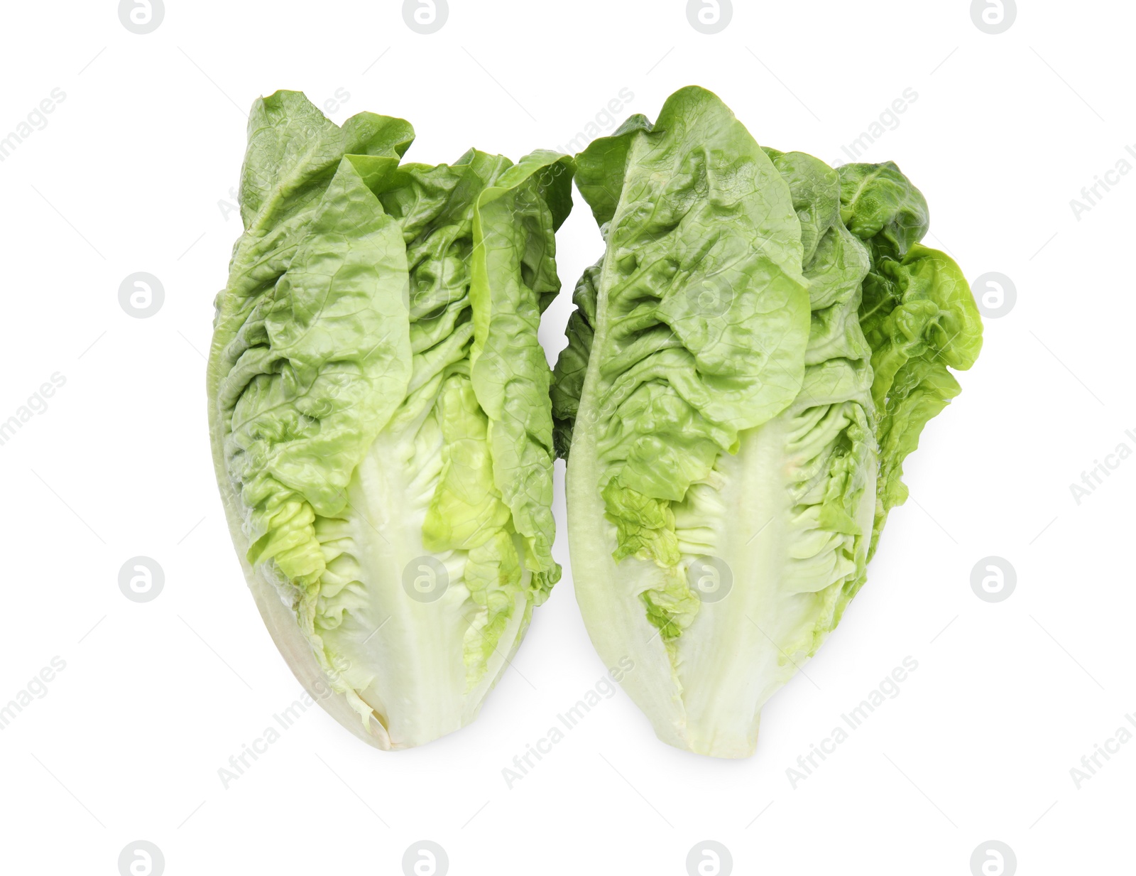 Photo of Fresh green romaine lettuces isolated on white, top view