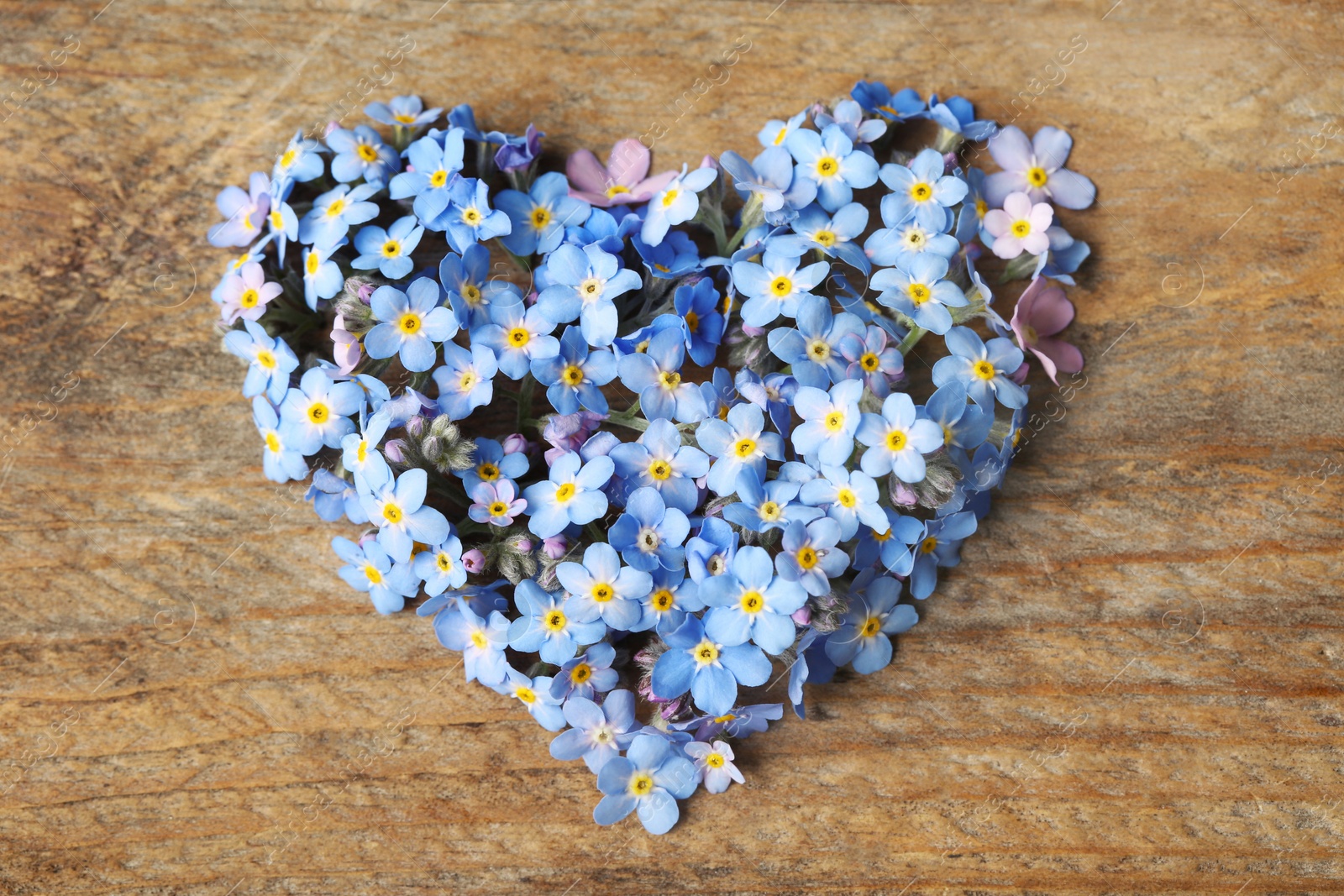 Photo of Heart made of amazing spring forget-me-not flowers on wooden background, top view