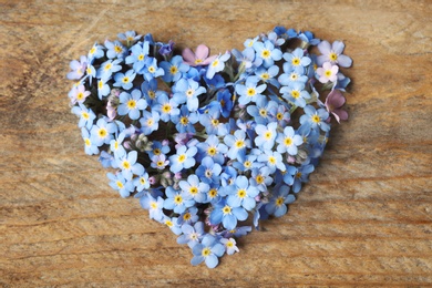 Heart made of amazing spring forget-me-not flowers on wooden background, top view