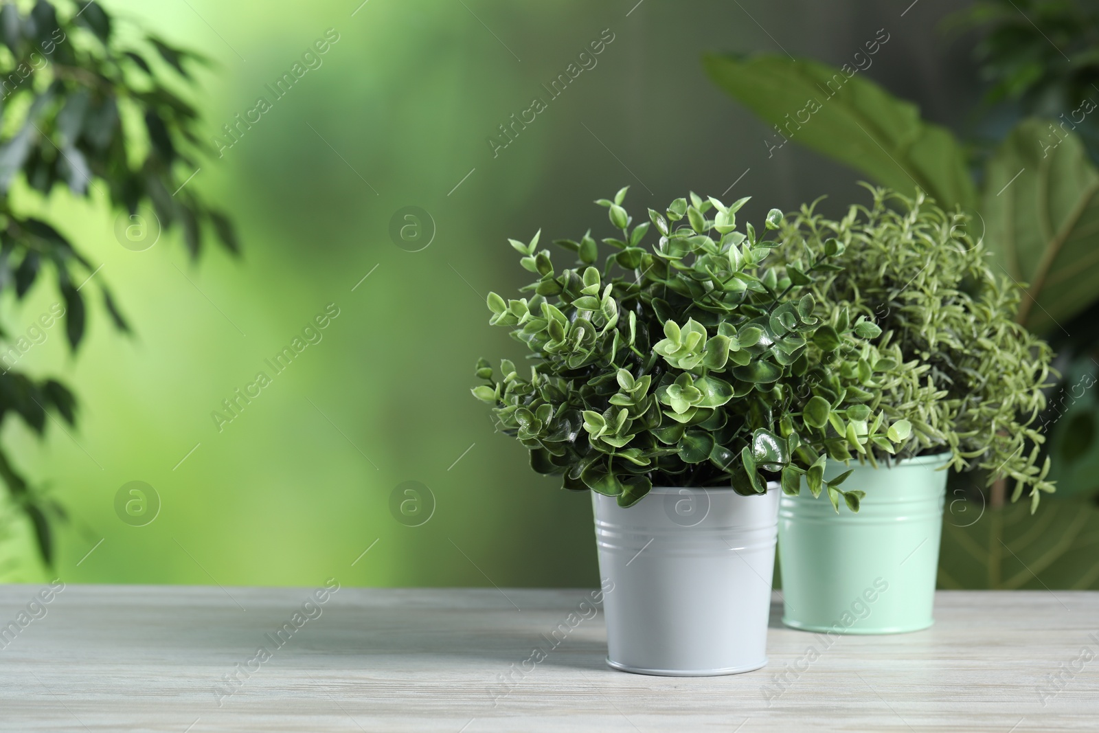 Photo of Aromatic oregano and thyme growing in pots on white wooden table outdoors, space for text