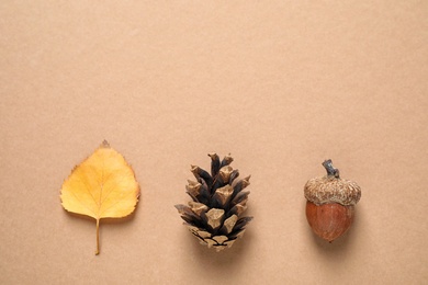 Autumn leaf, acorn and conifer cone on beige background, flat lay