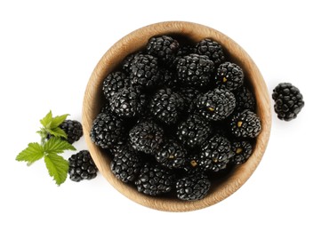 Photo of Bowl and fresh ripe blackberries on white background, top view