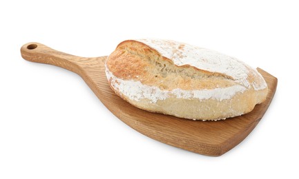 Freshly baked sourdough bread isolated on white