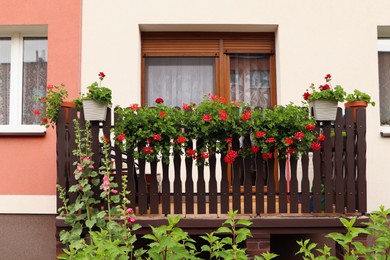 Wooden balcony decorated with beautiful red flowers