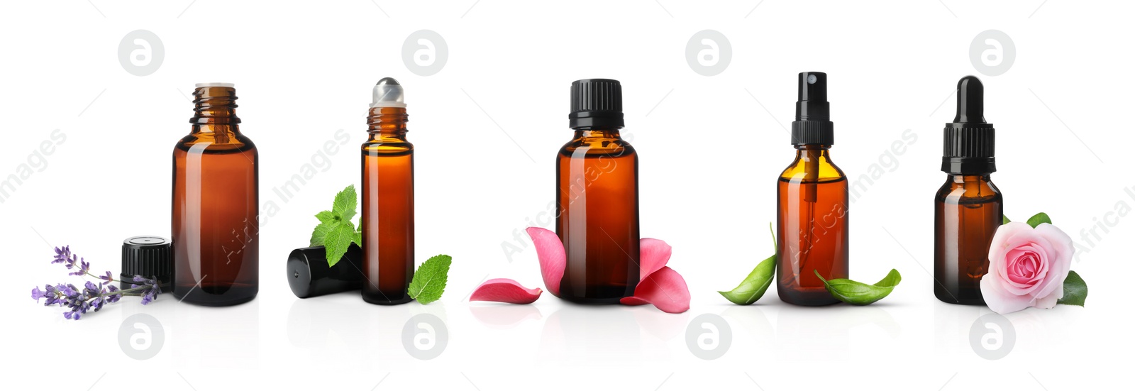 Image of Set of different essential oils in bottles and ingredients on white background