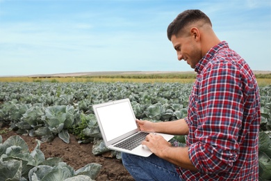 Photo of Man using laptop with blank screen in field. Agriculture technology