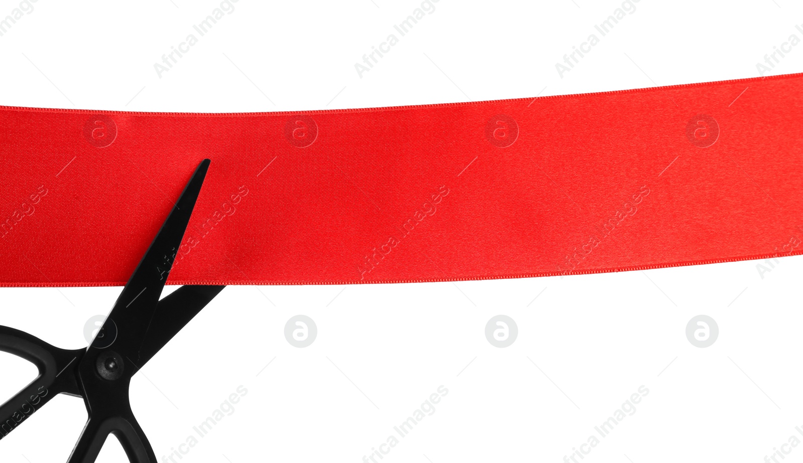 Photo of Cutting red ribbon with scissors on white background