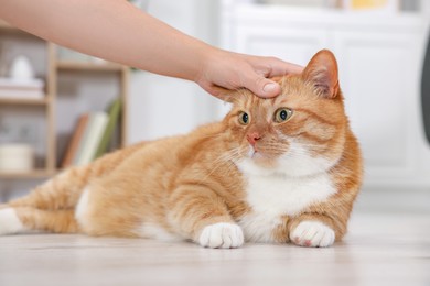 Photo of Woman petting cute ginger cat on floor at home, closeup