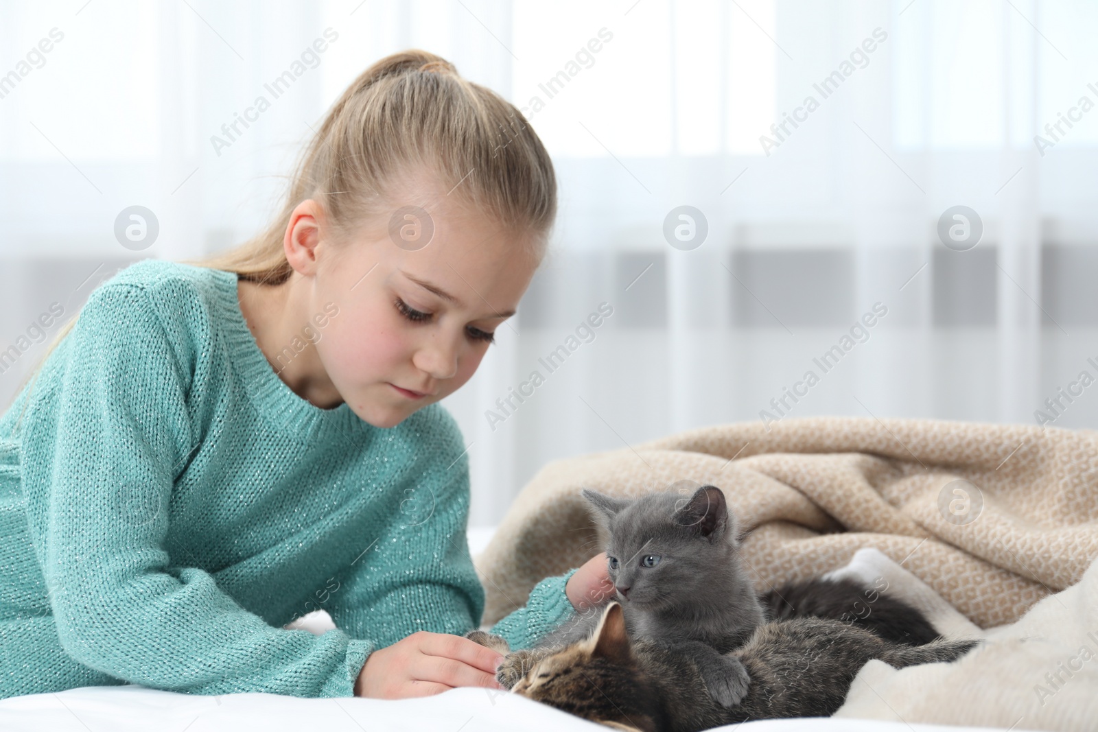 Photo of Little girl with cute fluffy kittens on bed indoors