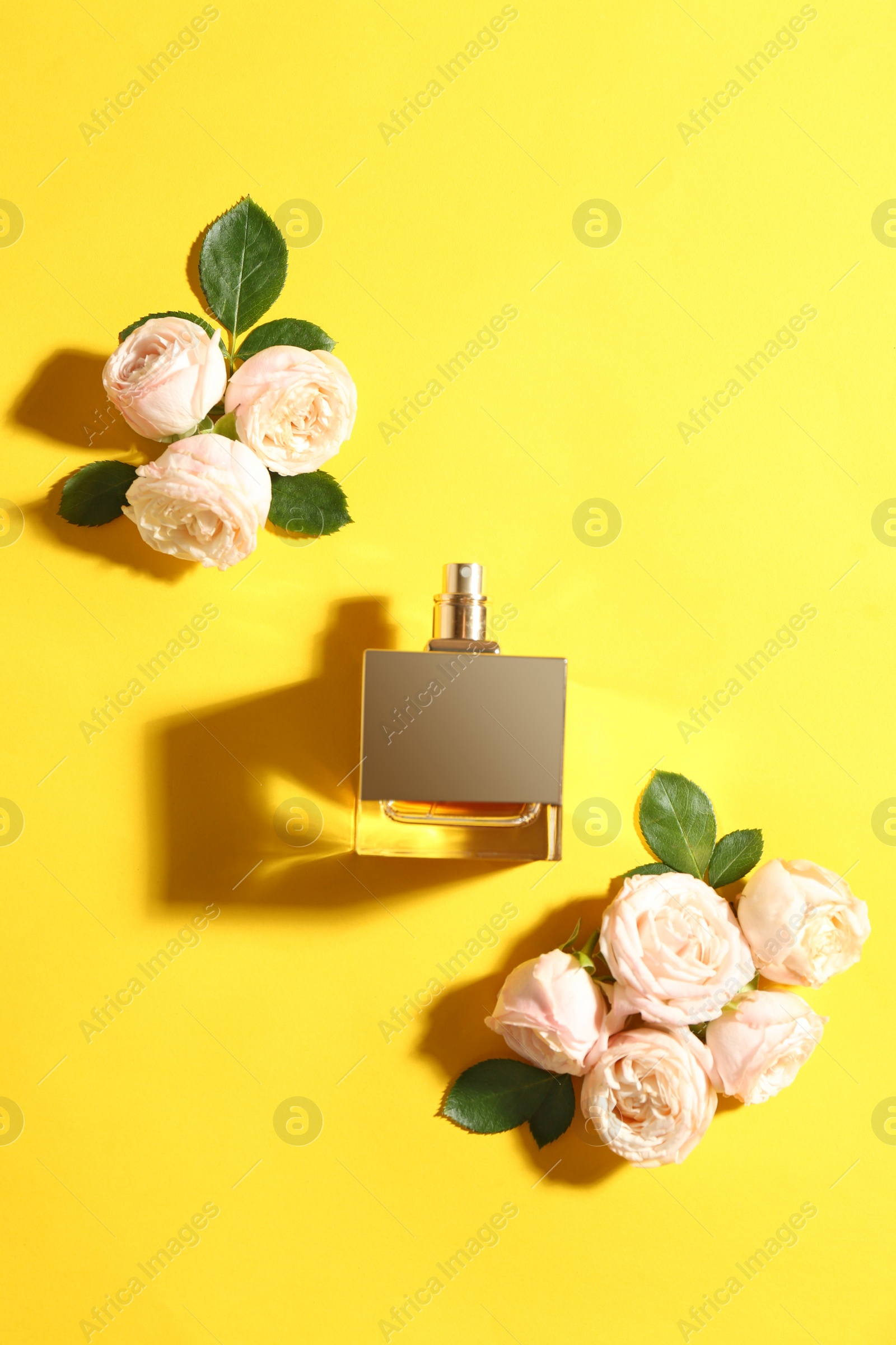 Photo of Beautiful composition with bottle of perfume and roses on color background, flat lay