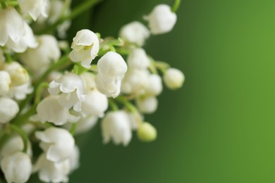 Beautiful lily of the valley flowers on blurred green background, closeup. Space for text