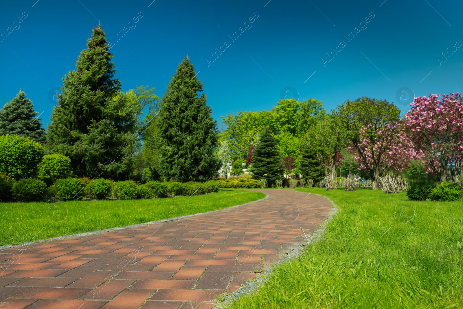 Photo of Picturesque view of beautiful park with fresh green grass and trees