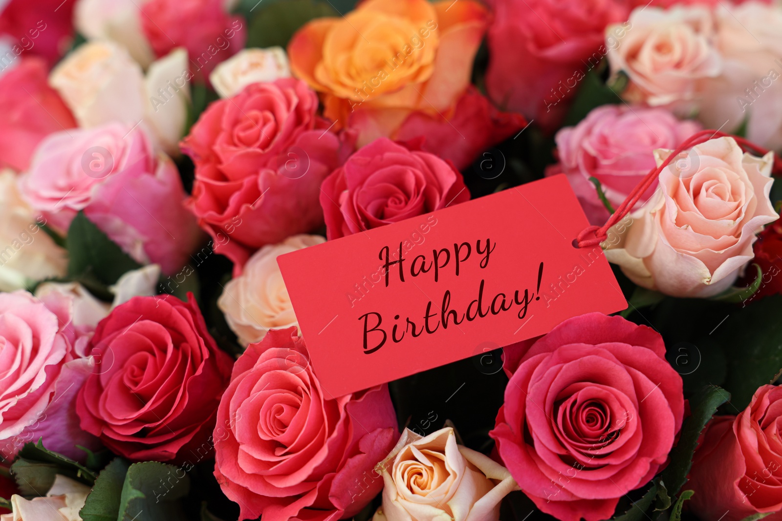 Image of Bouquet of beautiful roses with Happy Birthday card, closeup