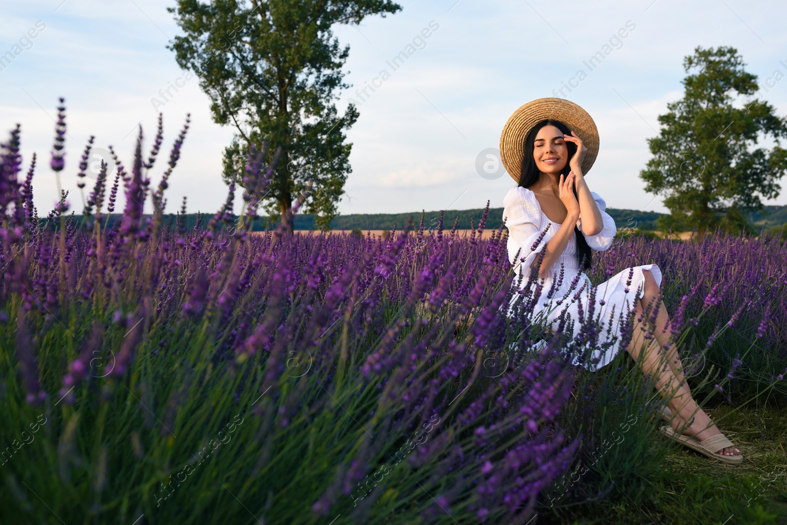 Photo of Beautiful young woman sitting in lavender field