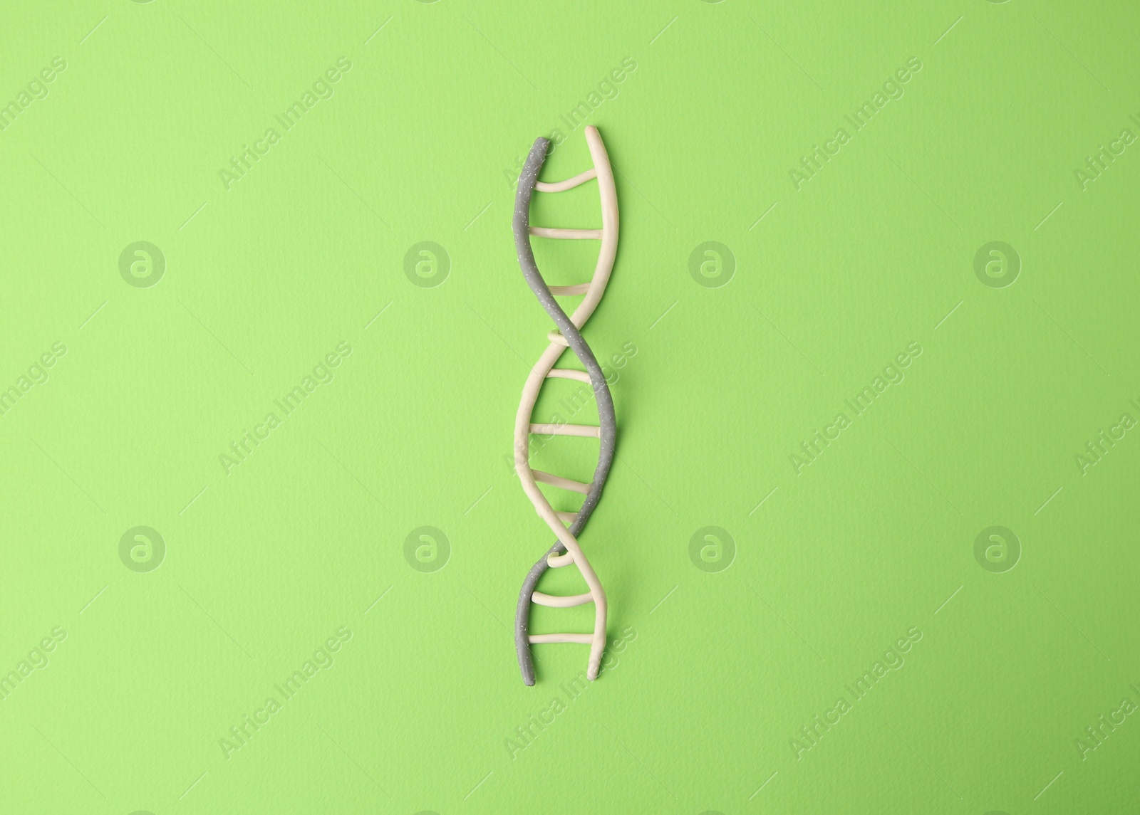 Photo of Plasticine model of DNA molecular chain on green background, top view