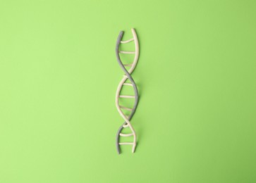 Photo of Plasticine model of DNA molecular chain on green background, top view