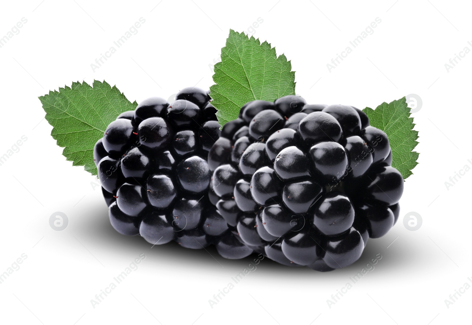 Image of Fresh ripe blackberries with green leaves on white background