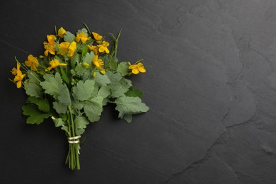 Celandine with beautiful yellow flowers on black table, top view. Space for text