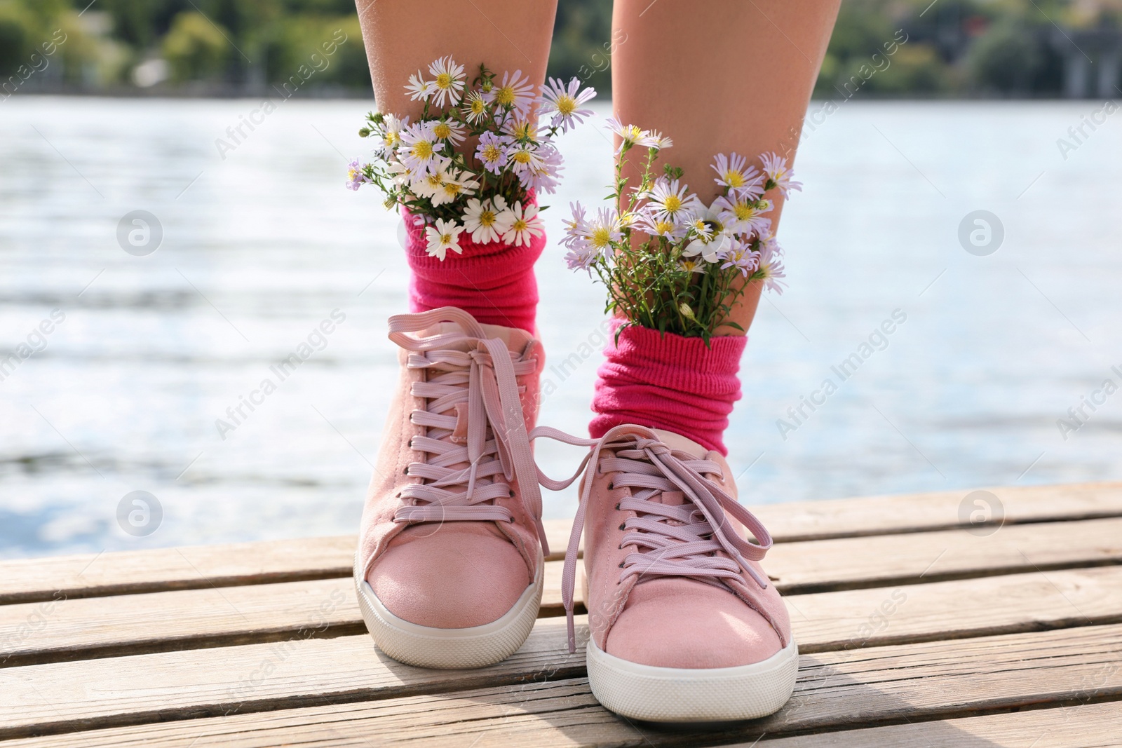 Photo of Woman with beautiful tender flowers in socks on wooden pier, closeup