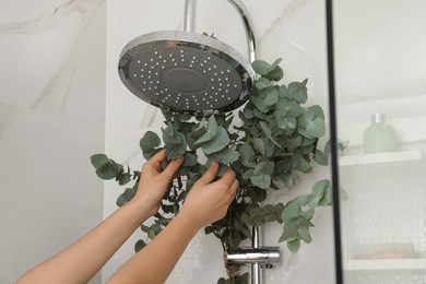 Photo of Woman hanging branches with green eucalyptus leaves on shower, closeup