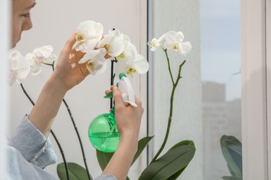 Photo of Woman spraying blooming orchid flowers with water near window, closeup