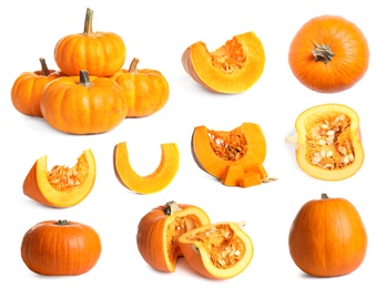 Image of Set of fresh pumpkins on white background