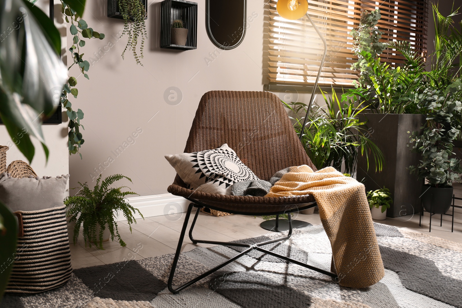 Photo of Lounge area interior with comfortable armchair and beautiful houseplants