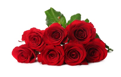 Photo of Beautiful red roses on white background. St. Valentine's day celebration