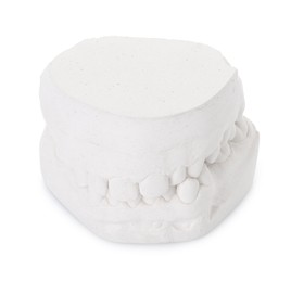 Photo of Dental model with gums isolated on white. Cast of teeth