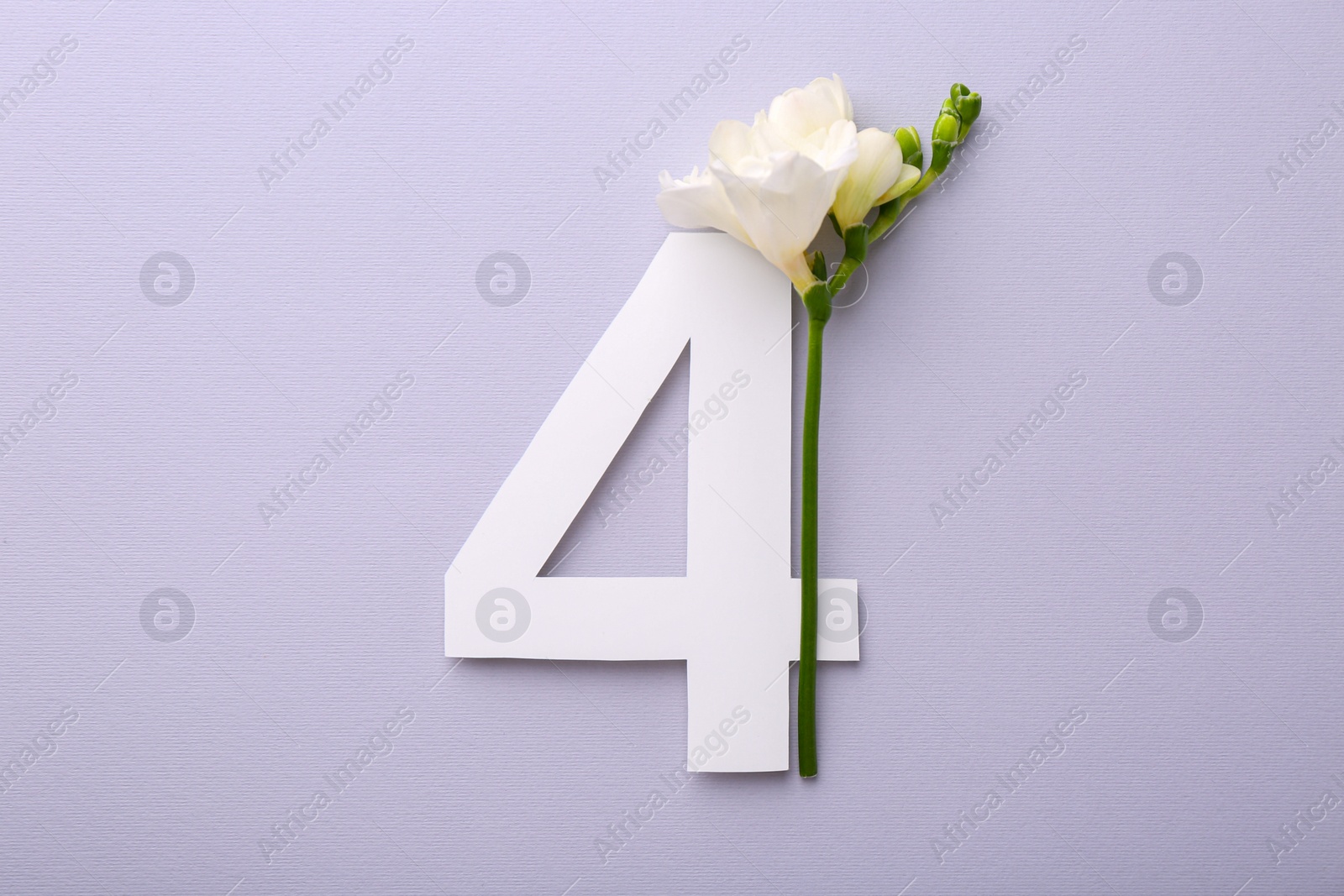 Photo of Paper number 4 and beautiful flower on light grey background, top view