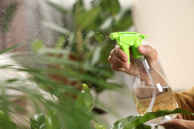 Photo of Woman spraying beautiful houseplant leaves with water, closeup