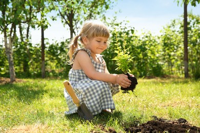 Photo of Cute little girl planting tree in garden