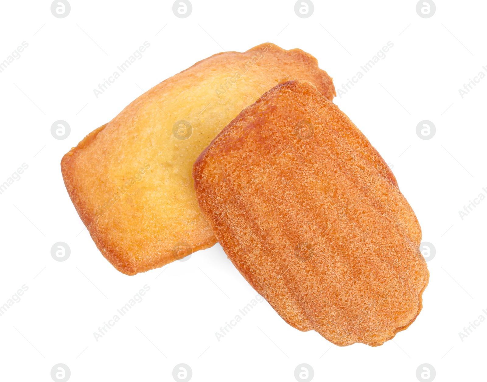 Photo of Delicious madeleine cakes on white background, top view